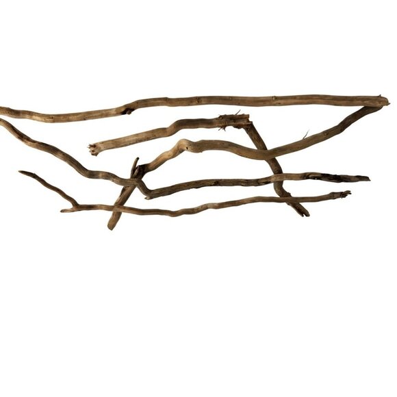 Natural Driftwood Pieces For Crafting & Home Decor 5 pieces - Picture 9 of 11